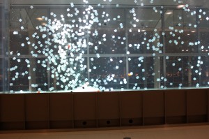 Bunch of plastic cubes in an aquarium.