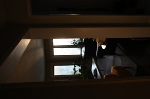 IMG_5177 IMG_5177