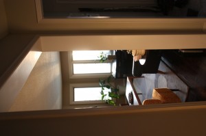 IMG_5179 IMG_5179